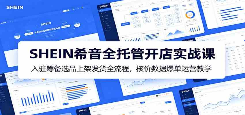 SHEIN希音全托管开店实战课：入驻筹备选品上架发货全流程，核价数据爆单运营教学-柒染测试库