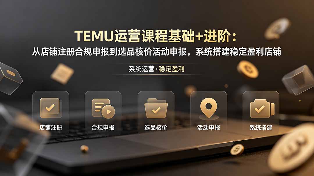 TEMU运营课程(基础+进阶-柒染测试库